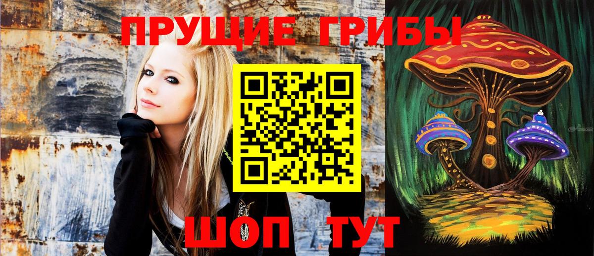 Михайловка  Псилоцибиновые грибы мухоморы  Вход с VPN 