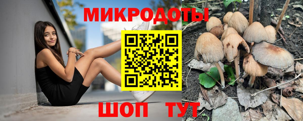 Псилоцибиновые грибы Psilocybine cubensis Михайловка
